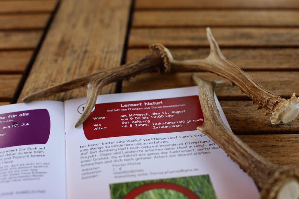 Lernort Natur 2021 Info-Flyer