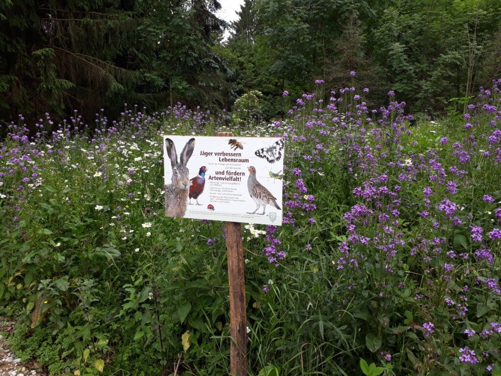 JÃ¤ger verbessern Lebensraum und fÃ¶rdern Artenvielfalt - BlÃ¼hwiesen und Wildhecken